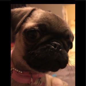 ⚡️⚡️5 for $20⚡️⚡️